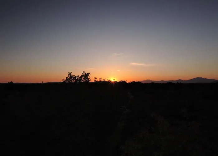 Vakantiehuis Family Friendly House With A Swimming Pool Gluici, Krka - 11337